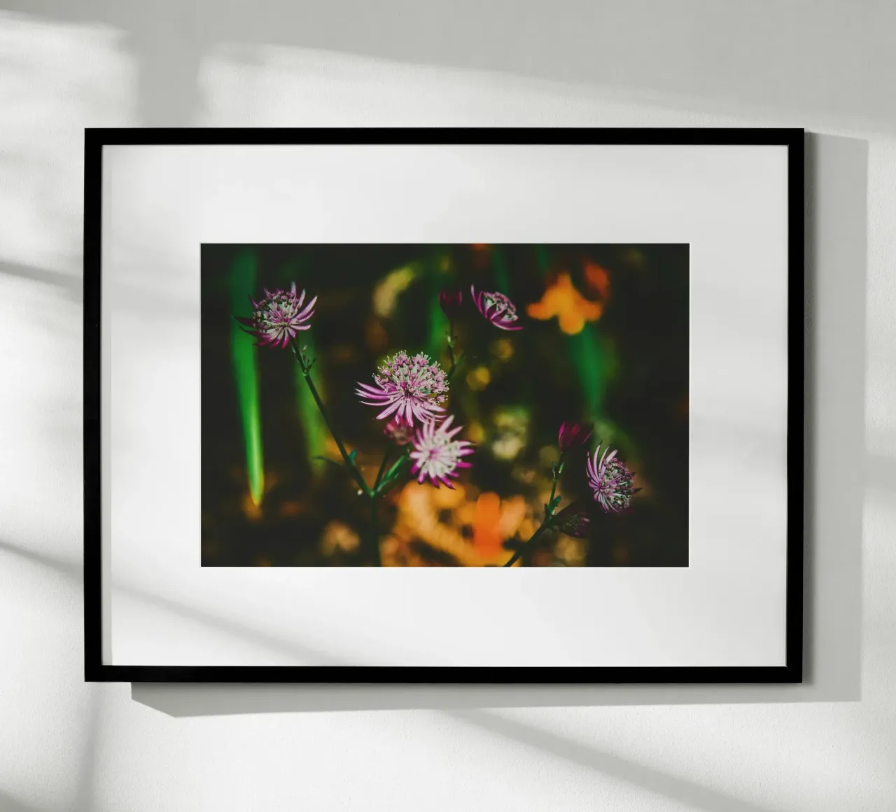 Poesia in fiore selvaggio carta hahnemühle da PhotoVibe Decor