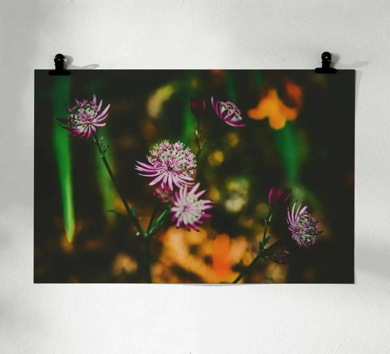 Poesia in fiore selvaggio carta hahnemühle da PhotoVibe Decor
