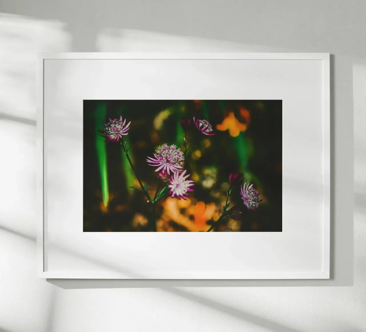 Poesia in fiore selvaggio carta hahnemühle da PhotoVibe Decor