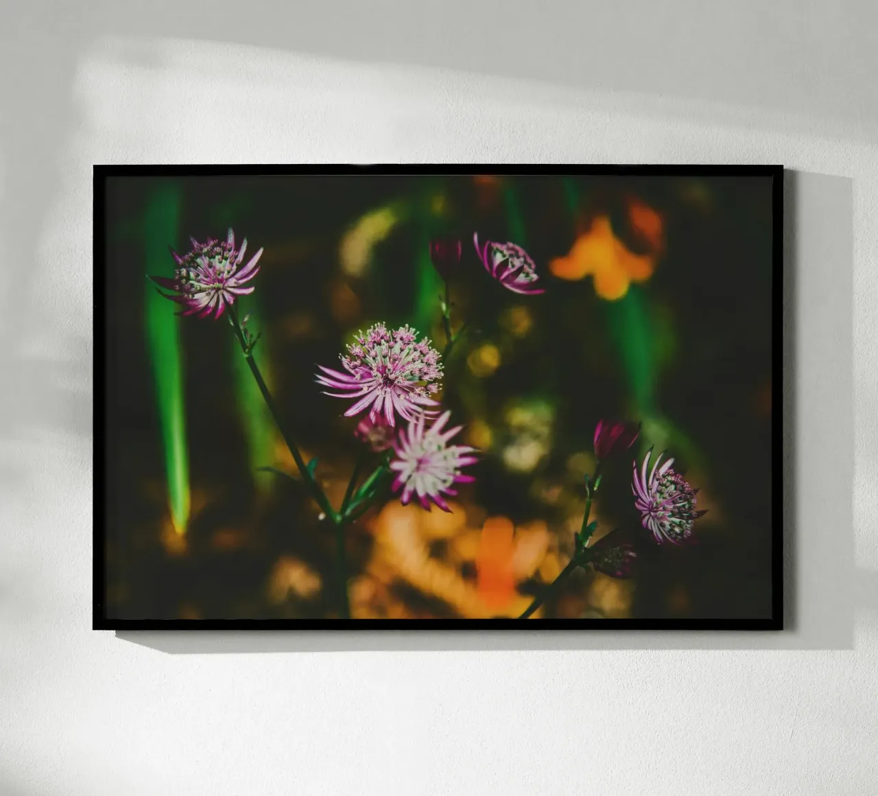 Poesia in fiore selvaggio carta hahnemühle da PhotoVibe Decor