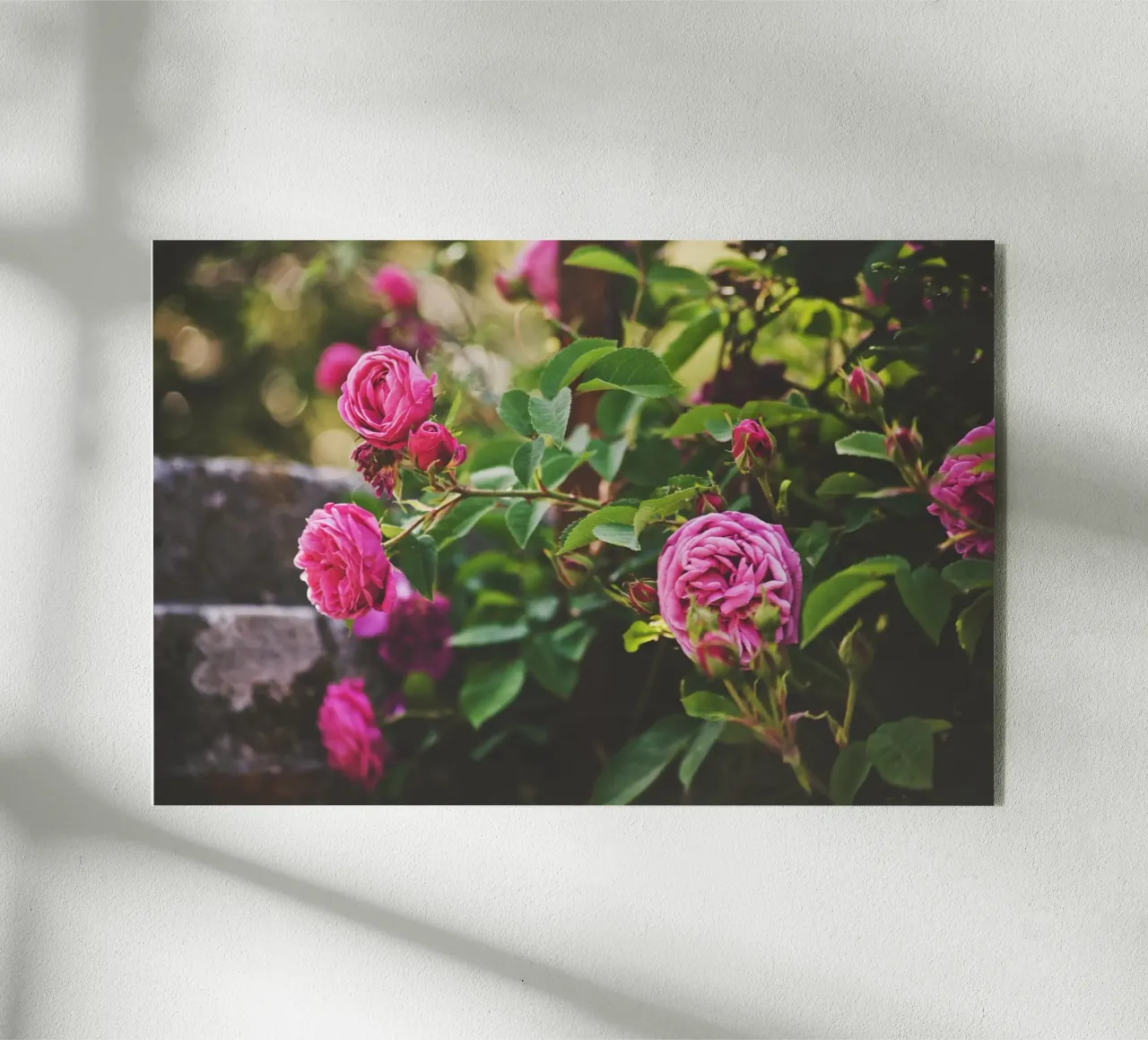 Poesia in fiore selvaggio plexiglass da PhotoVibe Decor