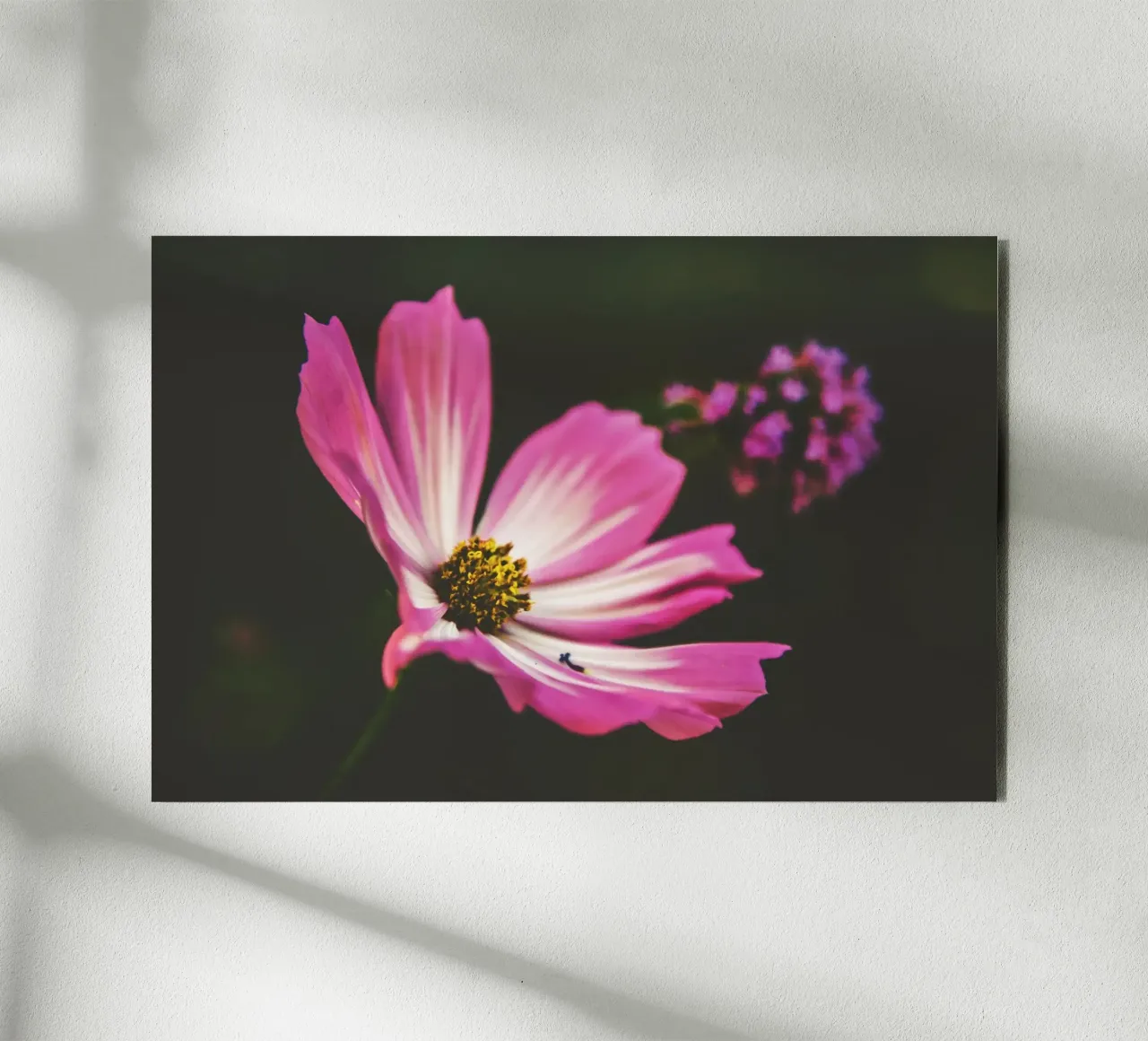 Poesia in fiore selvaggio alluminio dibond da PhotoVibe Decor
