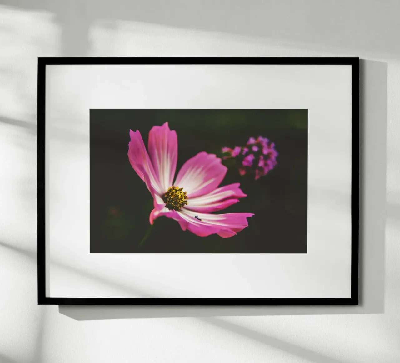Poesia in fiore selvaggio carta hahnemühle da PhotoVibe Decor
