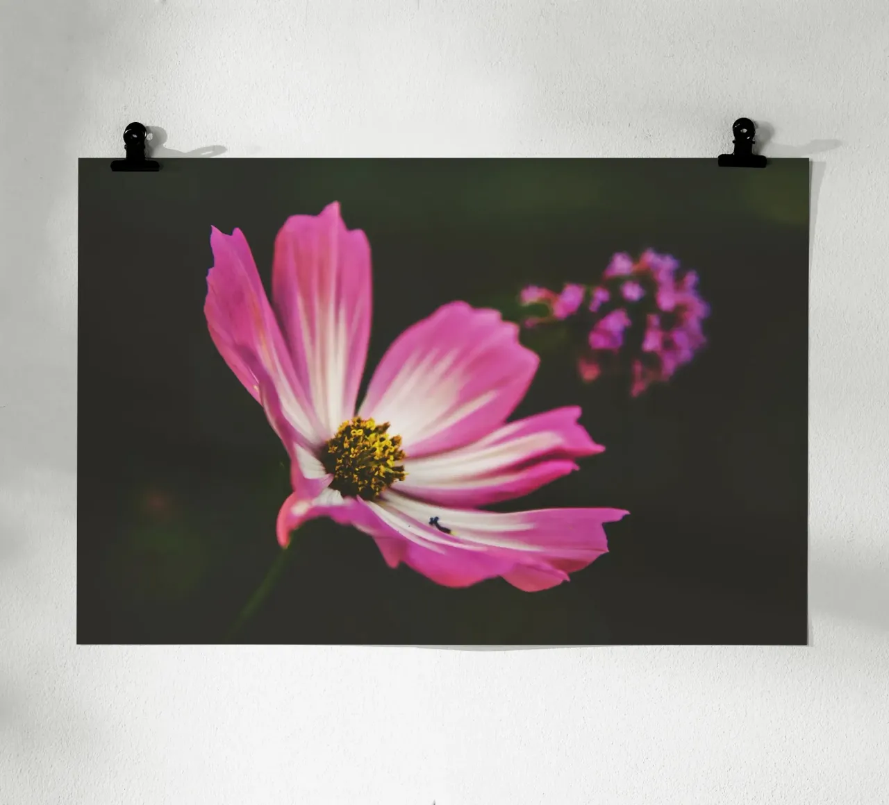 Poesia in fiore selvaggio carta hahnemühle da PhotoVibe Decor