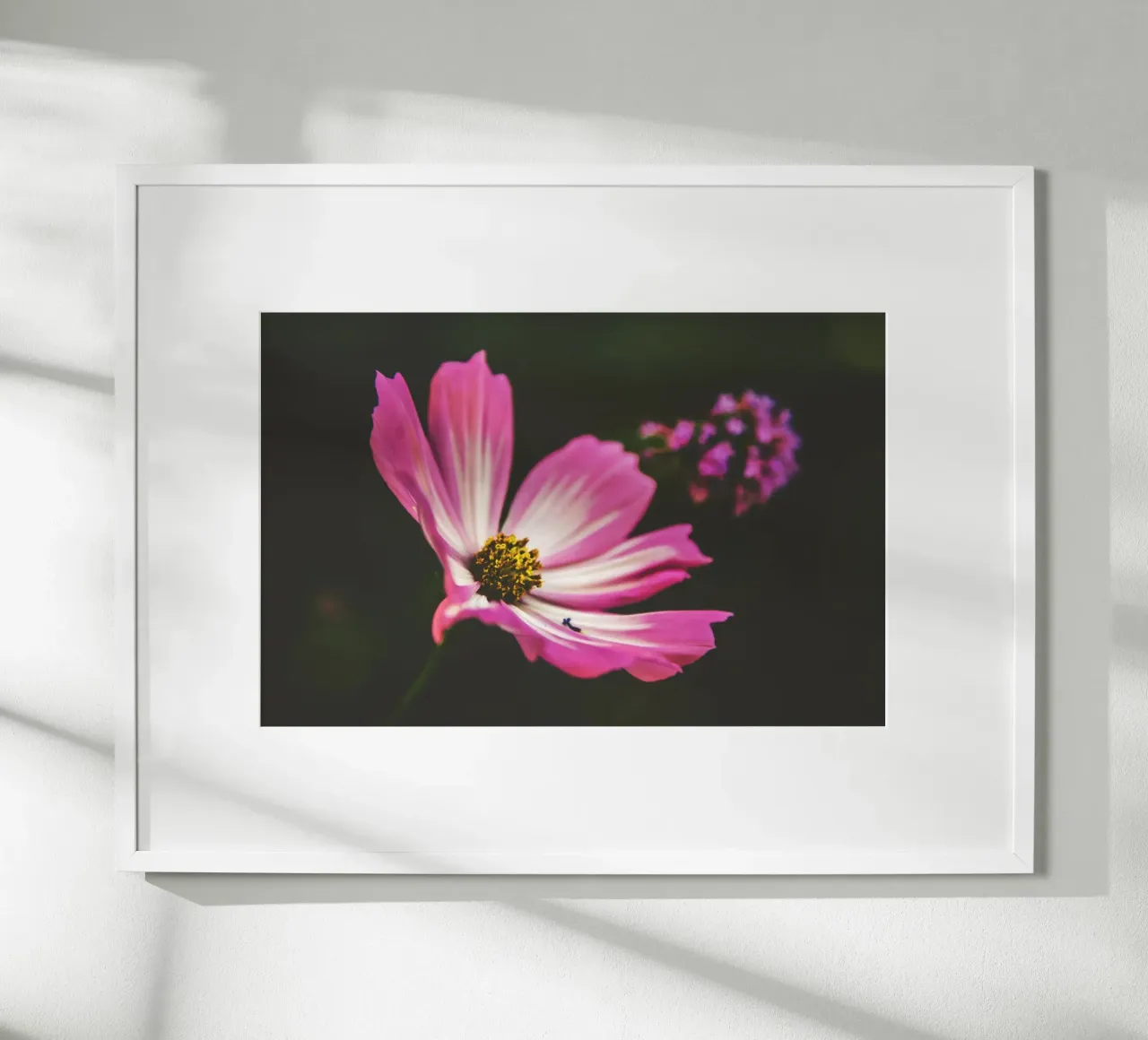 Poesia in fiore selvaggio carta hahnemühle da PhotoVibe Decor
