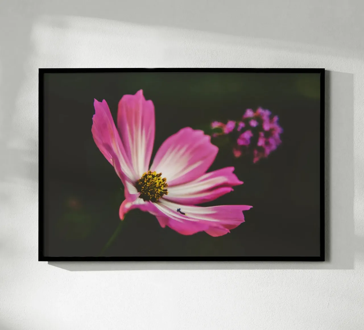 Poesia in fiore selvaggio carta hahnemühle da PhotoVibe Decor