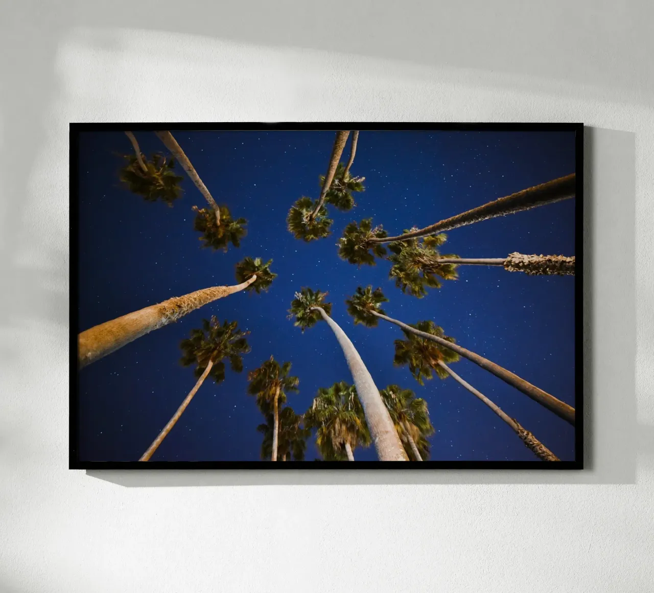 Whispers of Palm Trees hahnemühle by PhotoVibe Decor