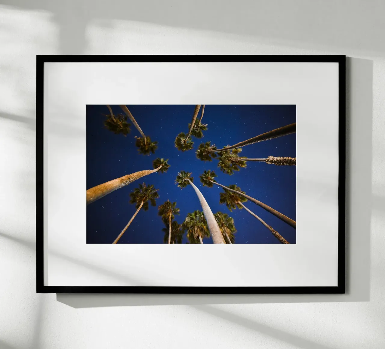 Whispers of Palm Trees hahnemühle by PhotoVibe Decor