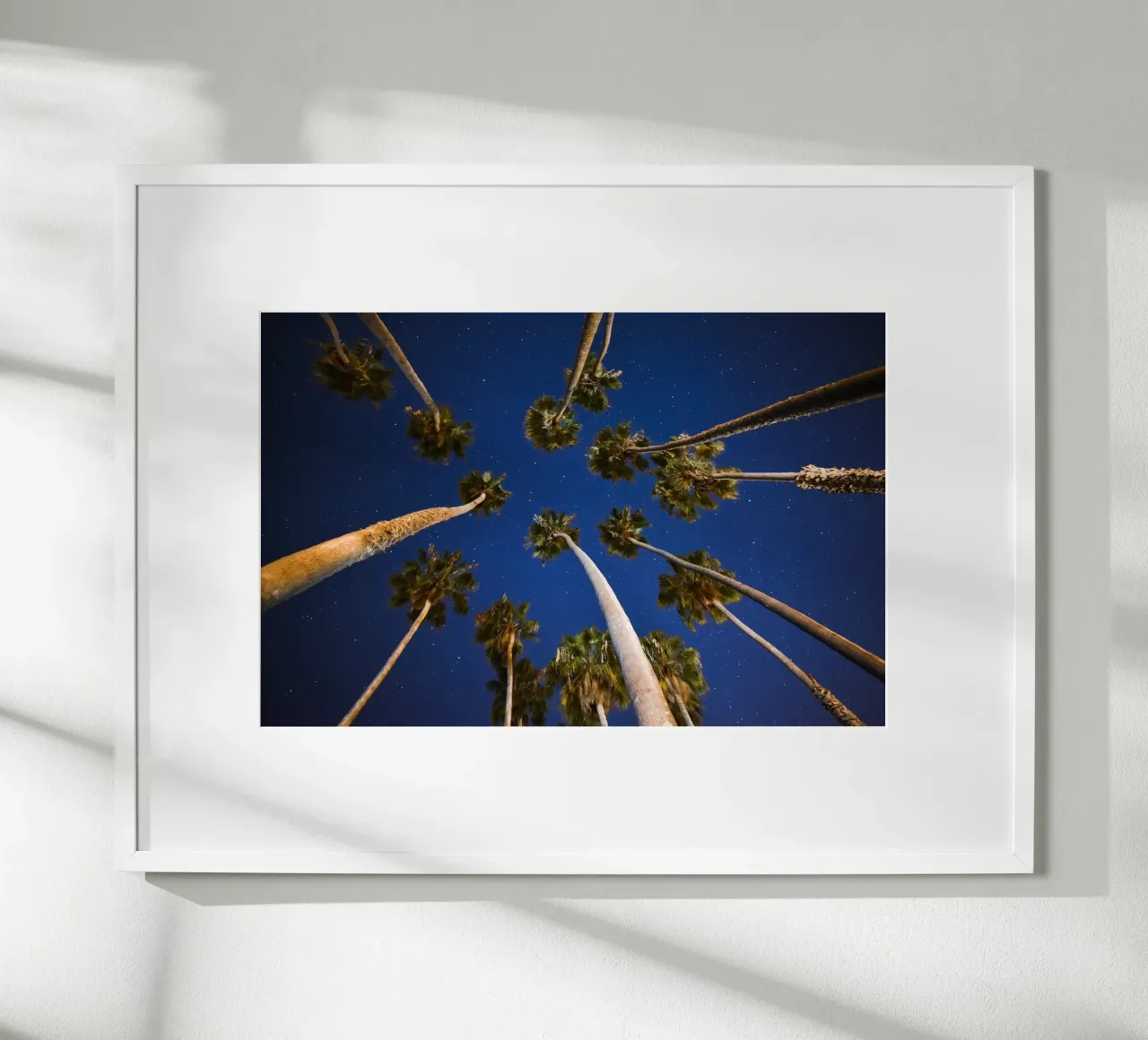 Whispers of Palm Trees hahnemühle by PhotoVibe Decor