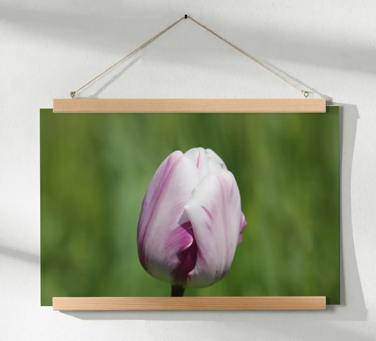 Sussurri di tulipani poster con telaio in plastica da Bold Blooms