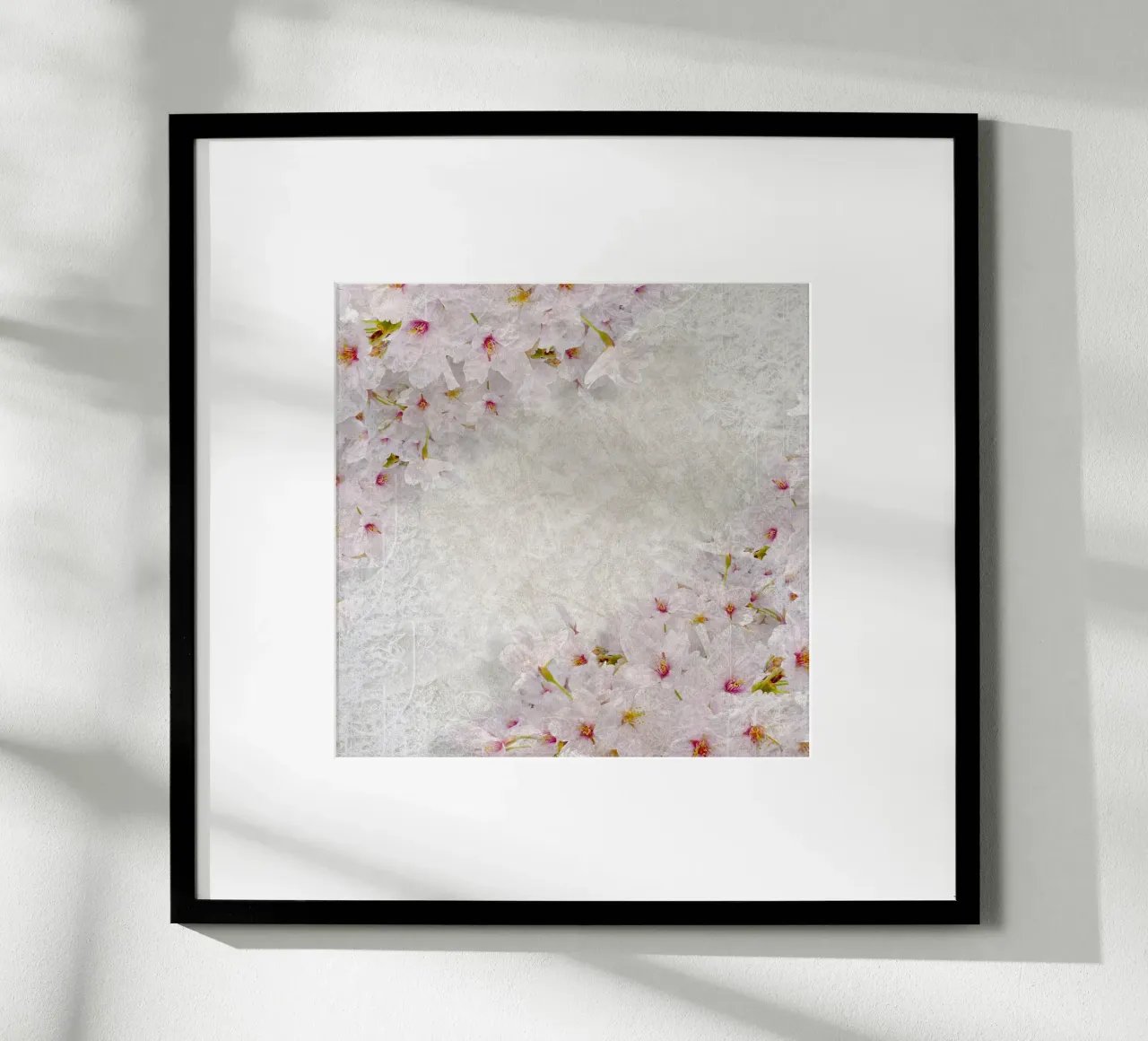 Il respiro di Sakura poster da Bold Blooms