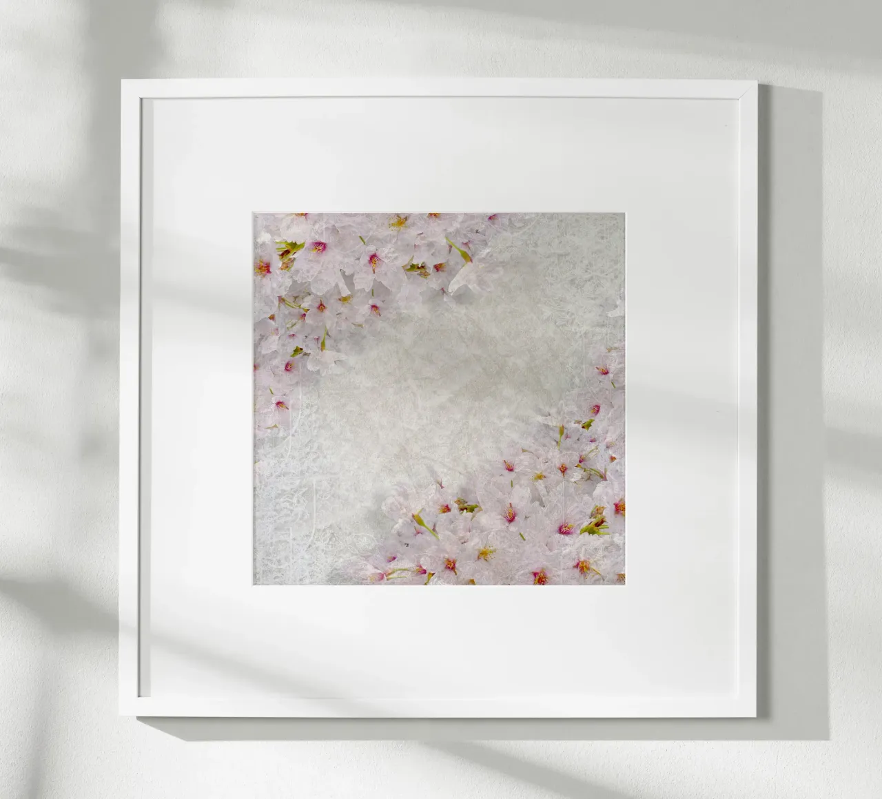 Il respiro di Sakura poster da Bold Blooms