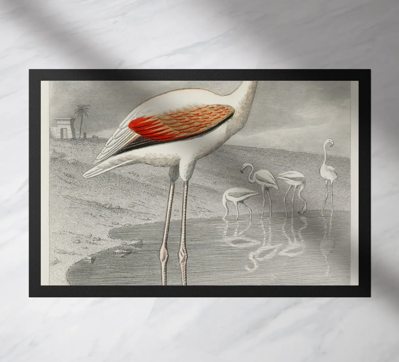 Le Flammant (Flamingo) zerbino da vintageshop
