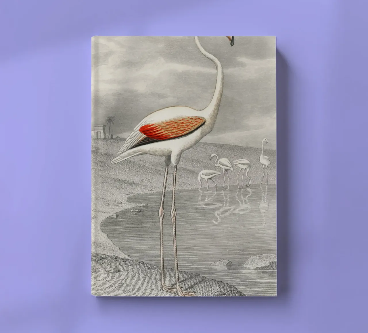Le Flammant (Flamingo) diario da vintageshop