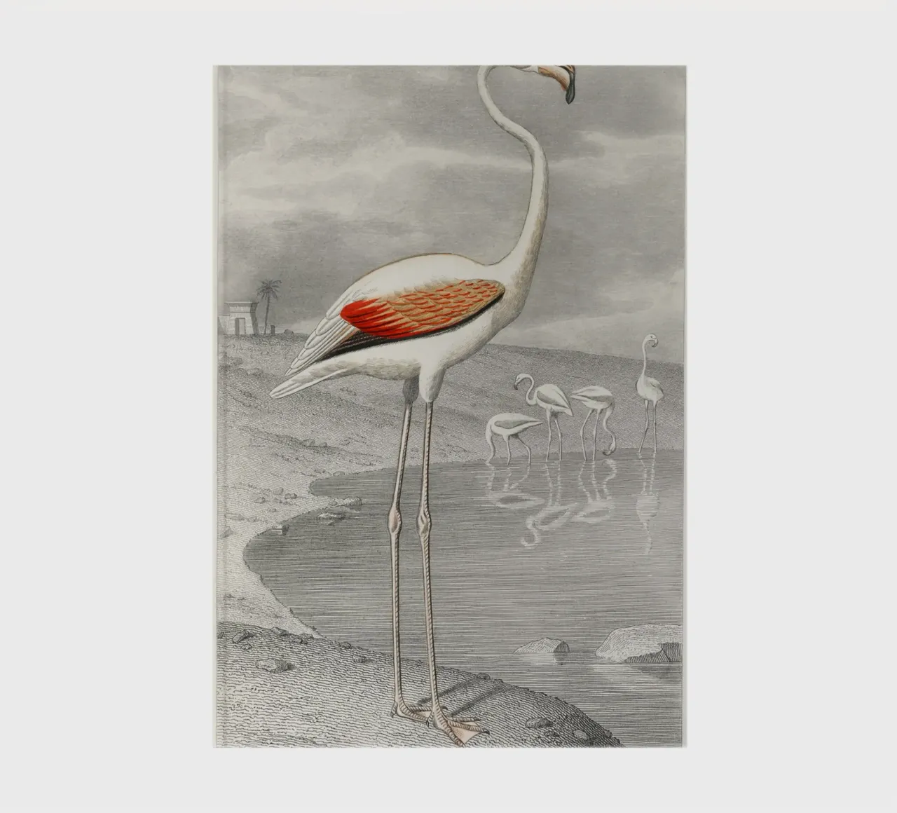 Le Flammant (Flamingo) diario da vintageshop
