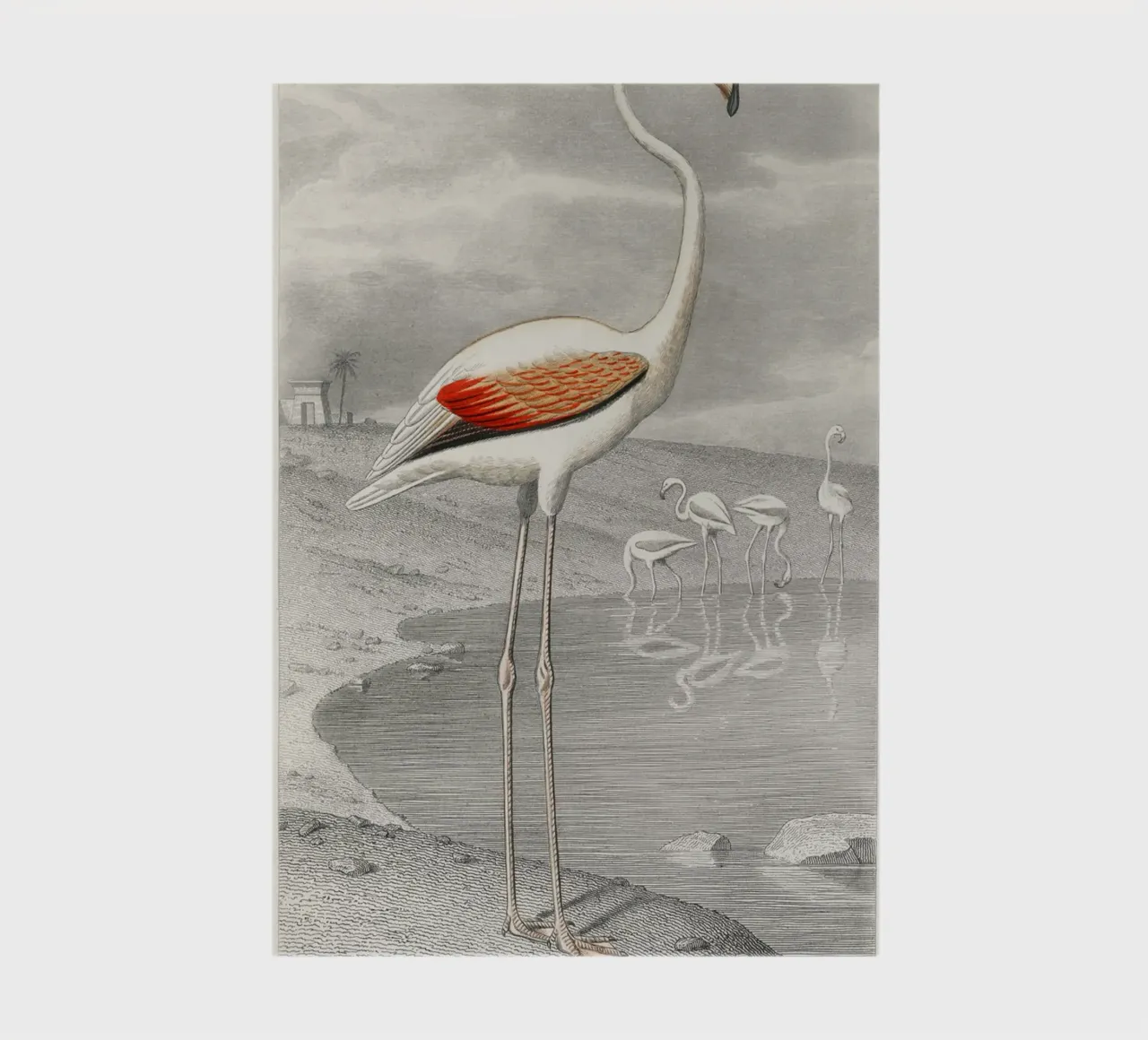 Le Flammant (Flamingo) diario da vintageshop