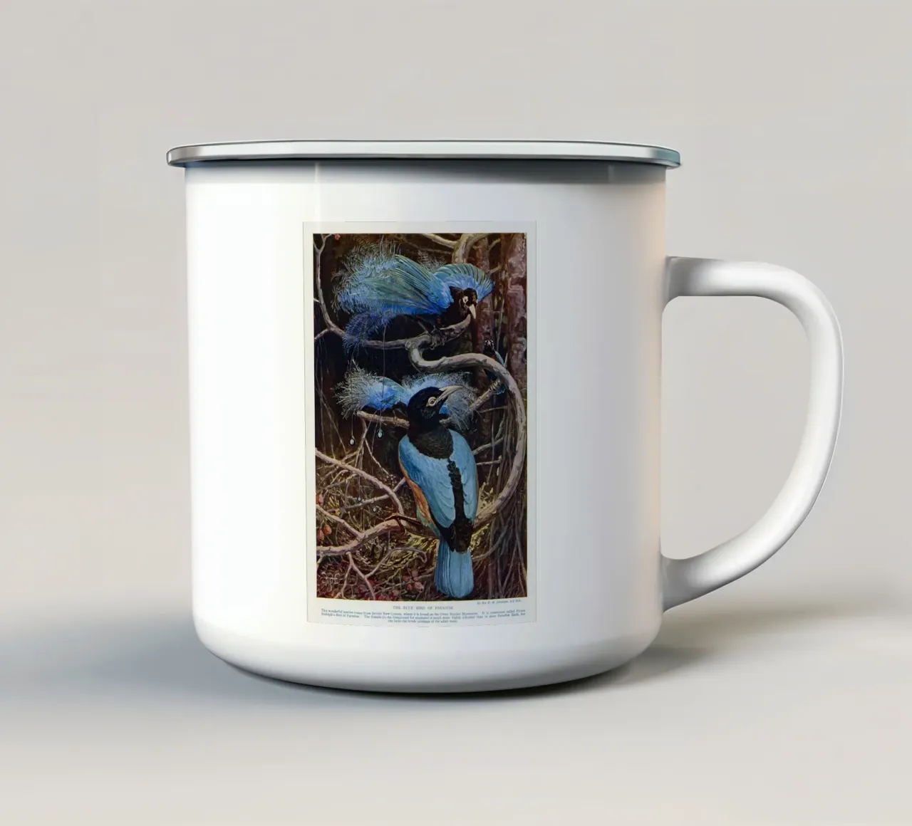 The blue bird of paradise tazza in smalto da vintageshop