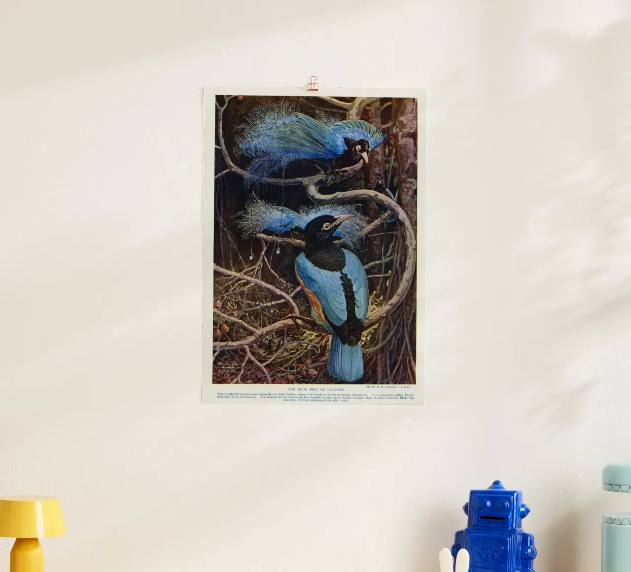 The blue bird of paradise poster con telaio in legno da vintageshop