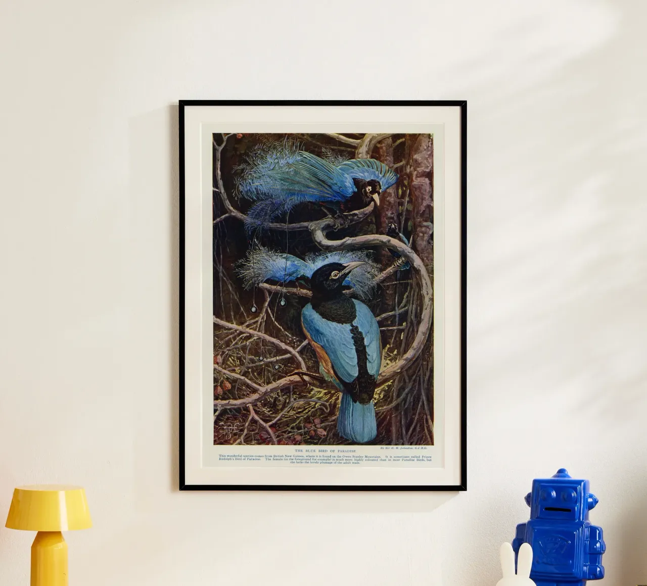 The blue bird of paradise poster con telaio in legno da vintageshop