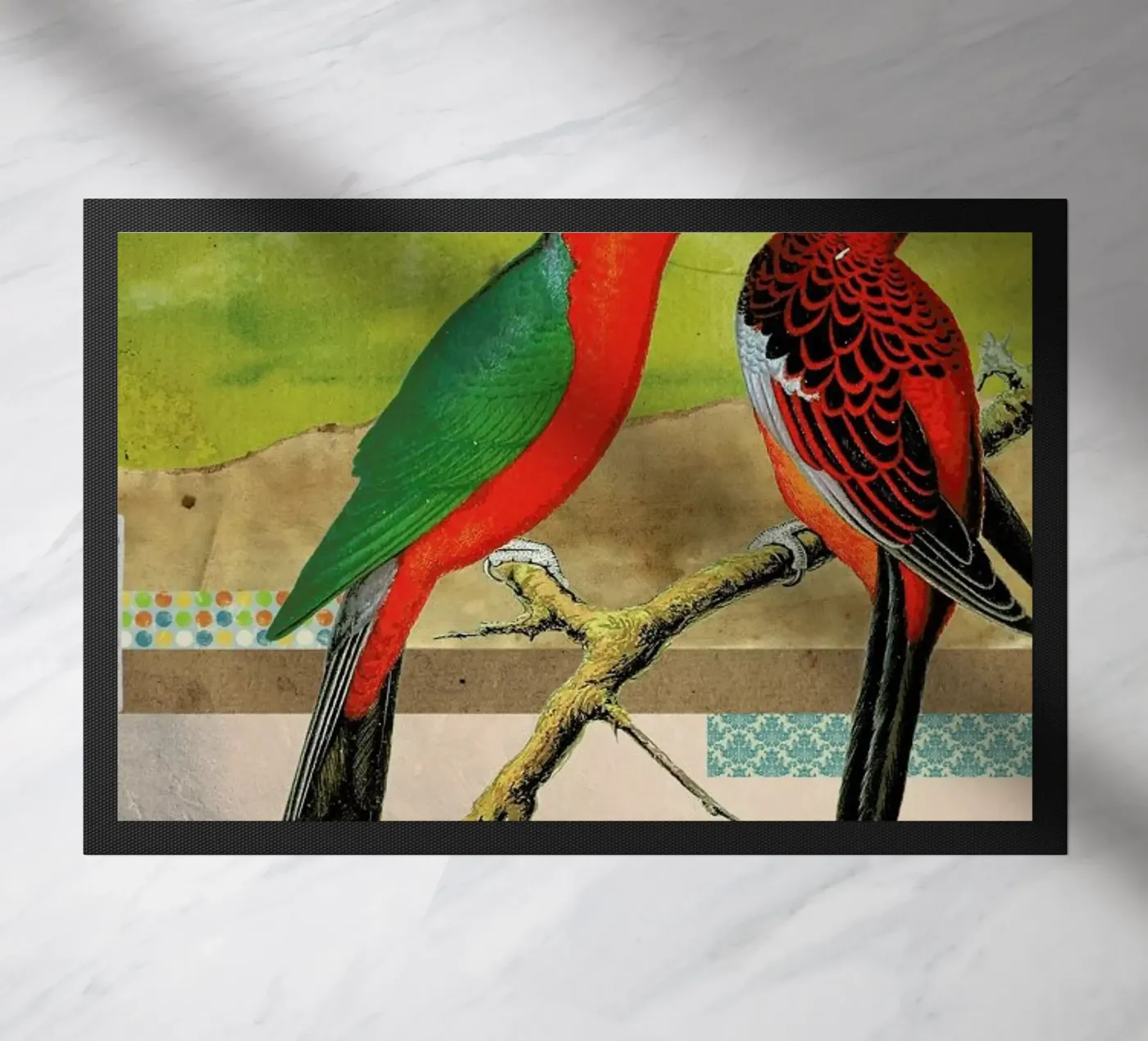 Animals: Birds zerbino da Elo Marc