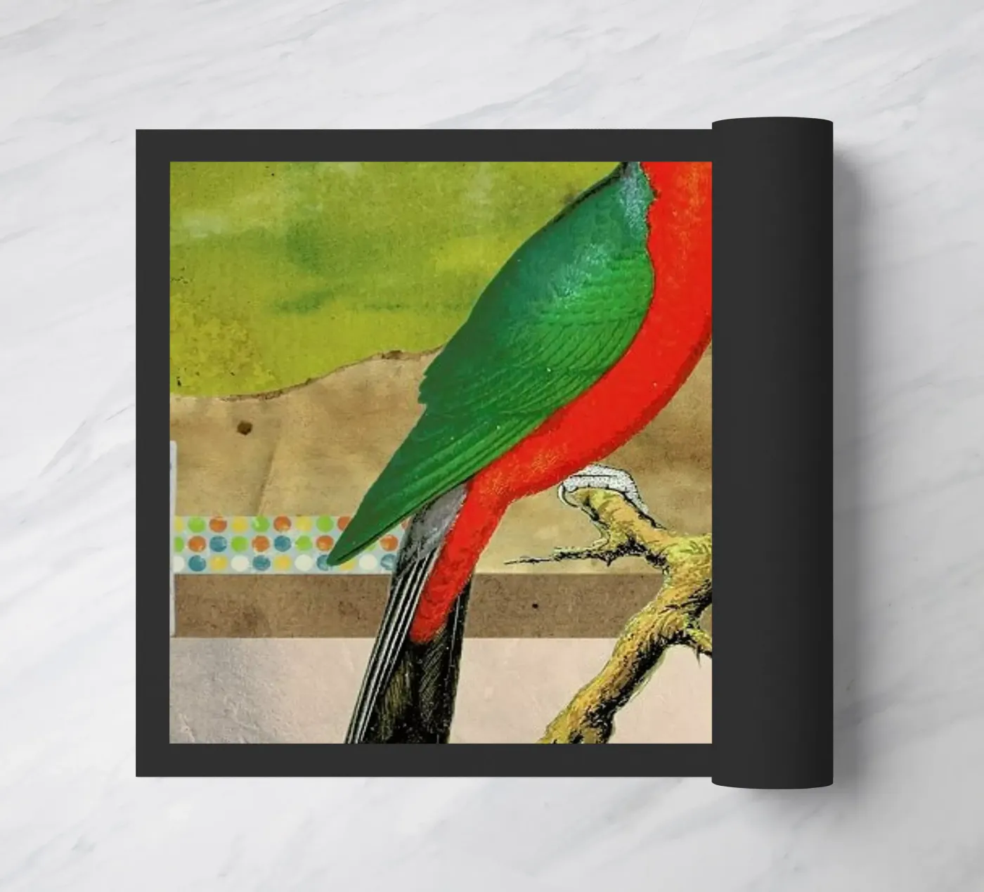 Animals: Birds zerbino da Elo Marc