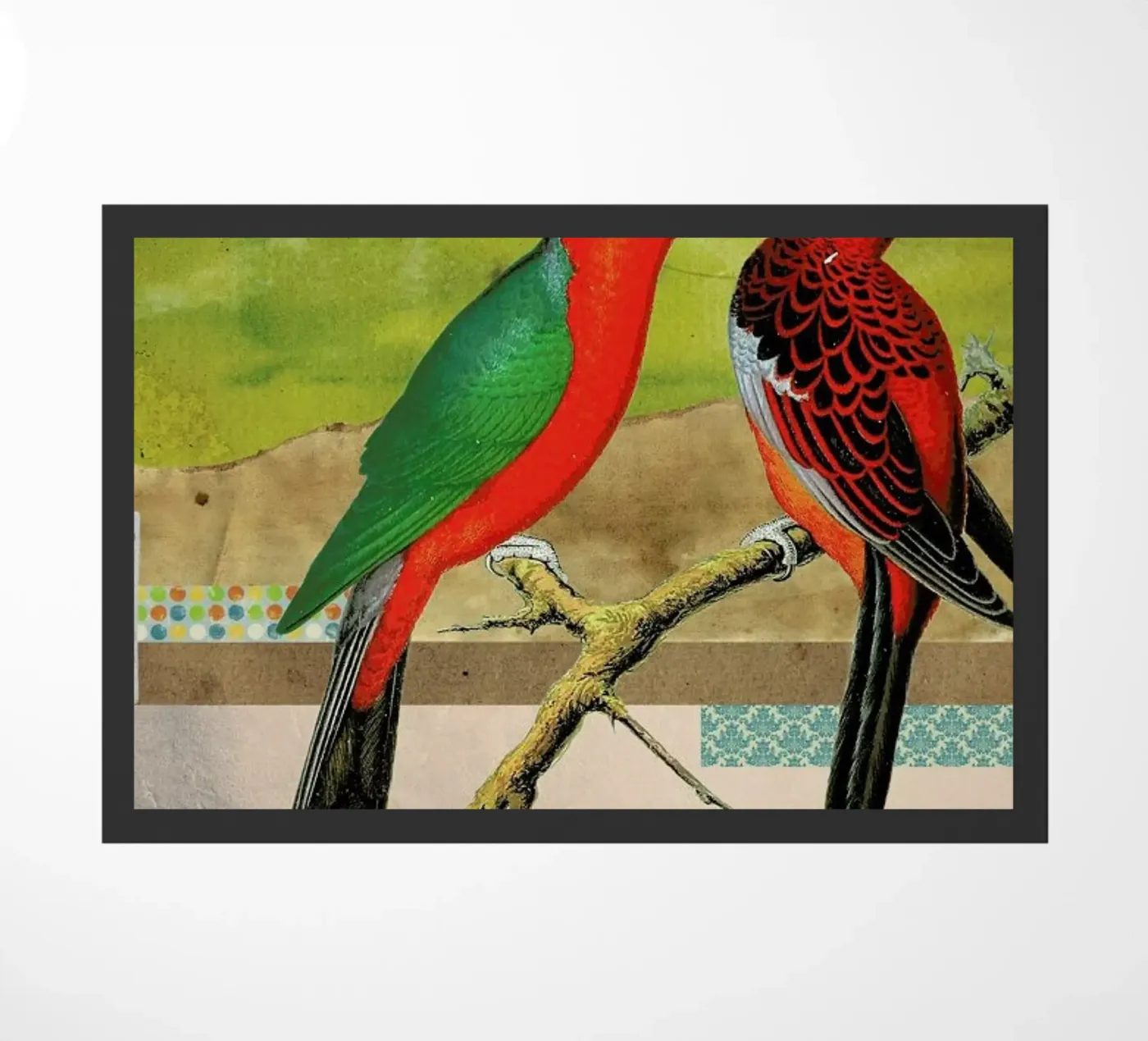 Animals: Birds zerbino da Elo Marc