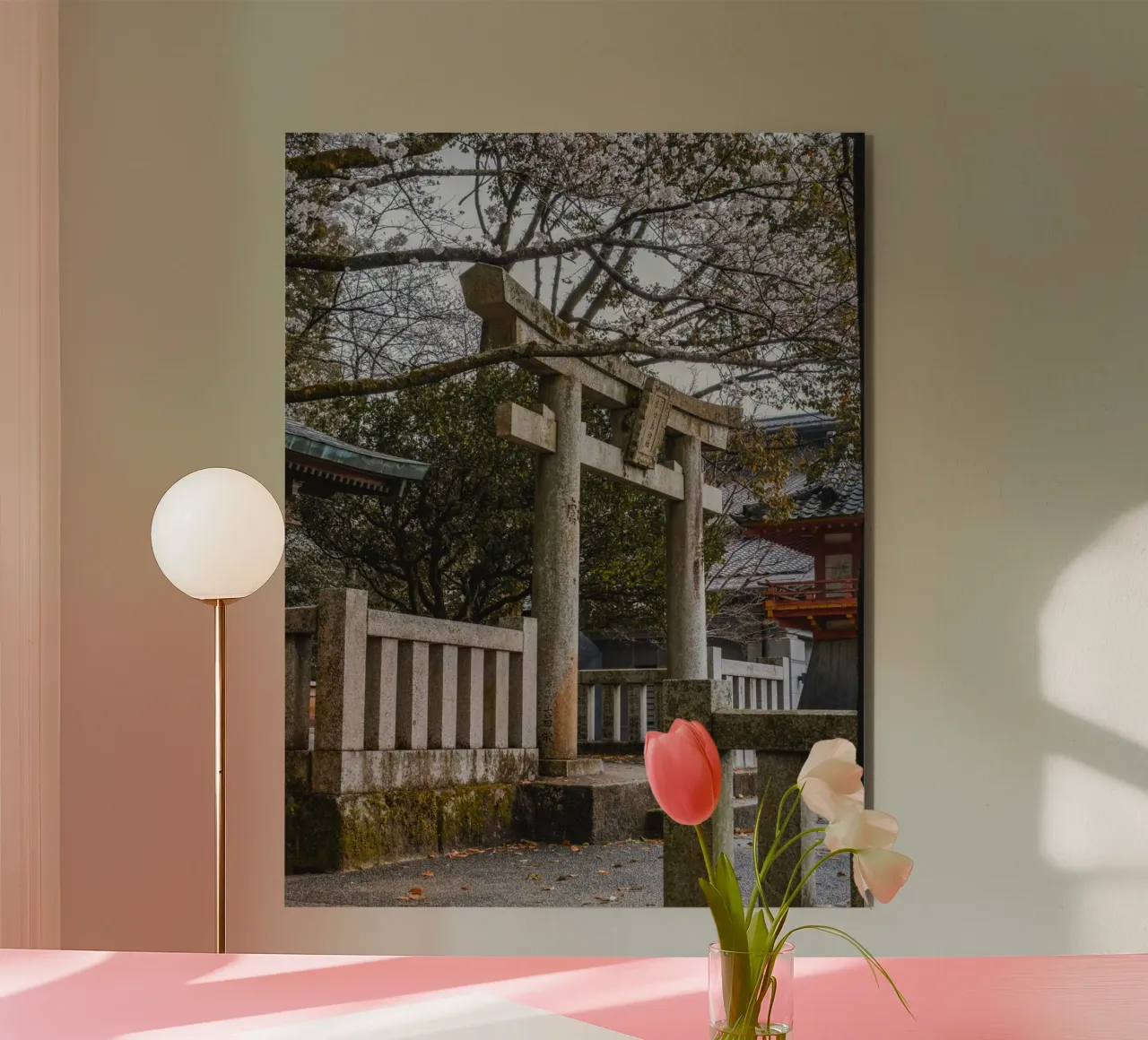 Porta Torii con fiori di ciliegio a Fukuoka, Giappone alluminio dibond da Marcel Bisig