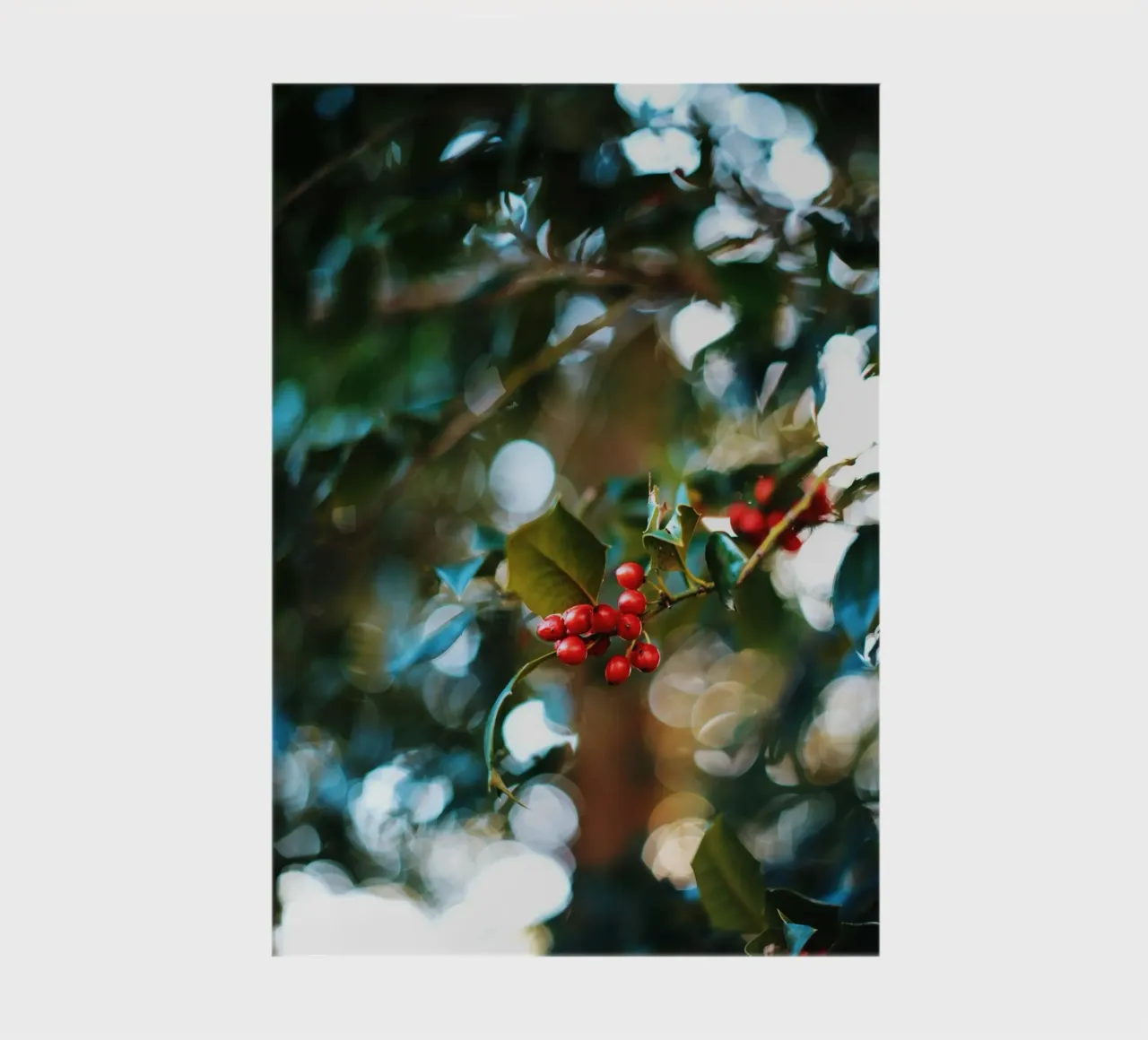red berries holly leaves notebook by Earthly Visions