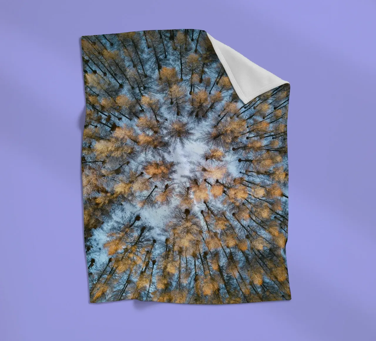 vista aerea foresta coperta in pile da Earthly Visions
