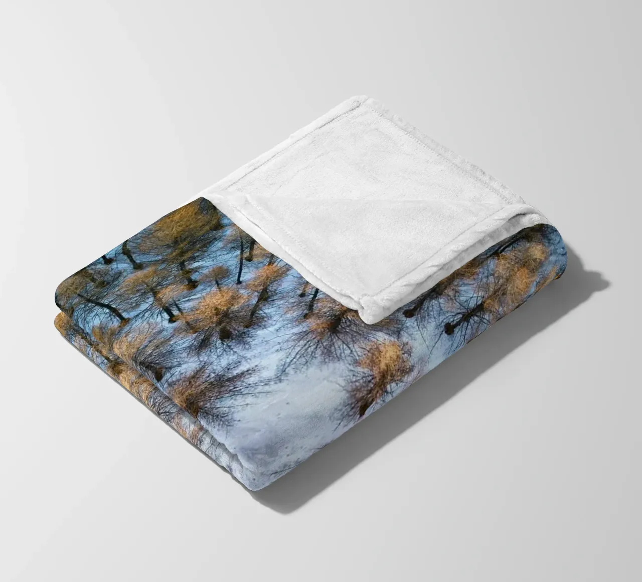 vista aerea foresta coperta in pile da Earthly Visions