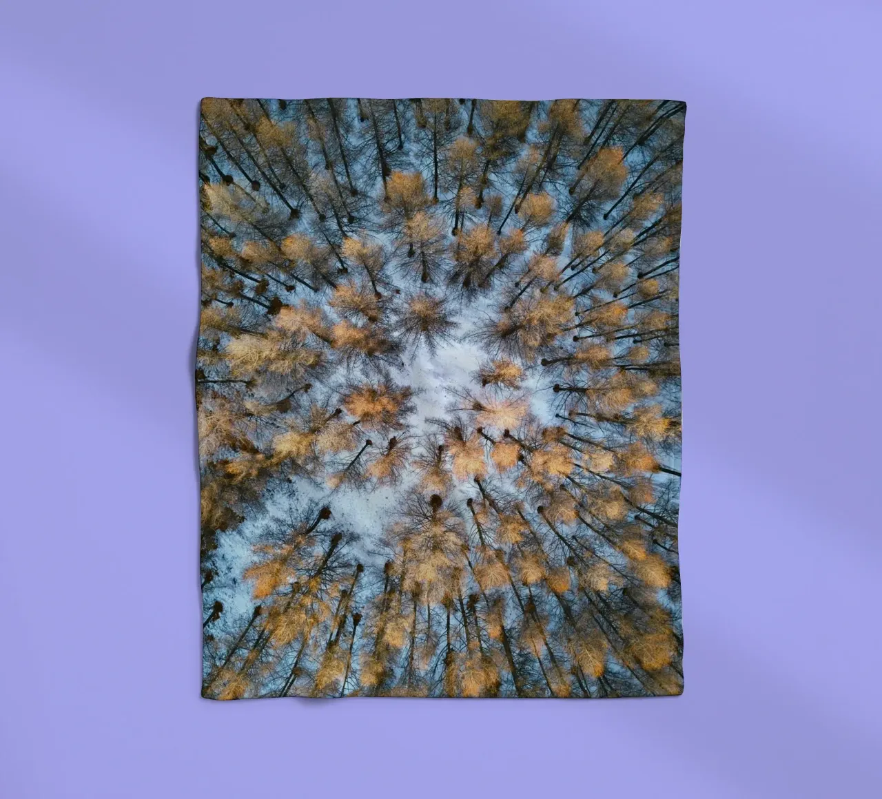 vista aerea foresta coperta in pile da Earthly Visions