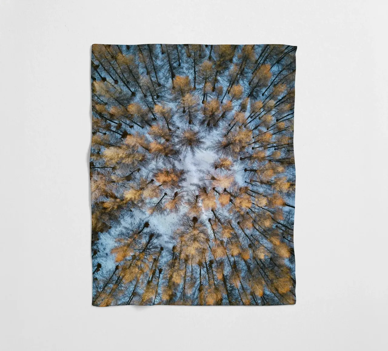 vista aerea foresta coperta in pile da Earthly Visions
