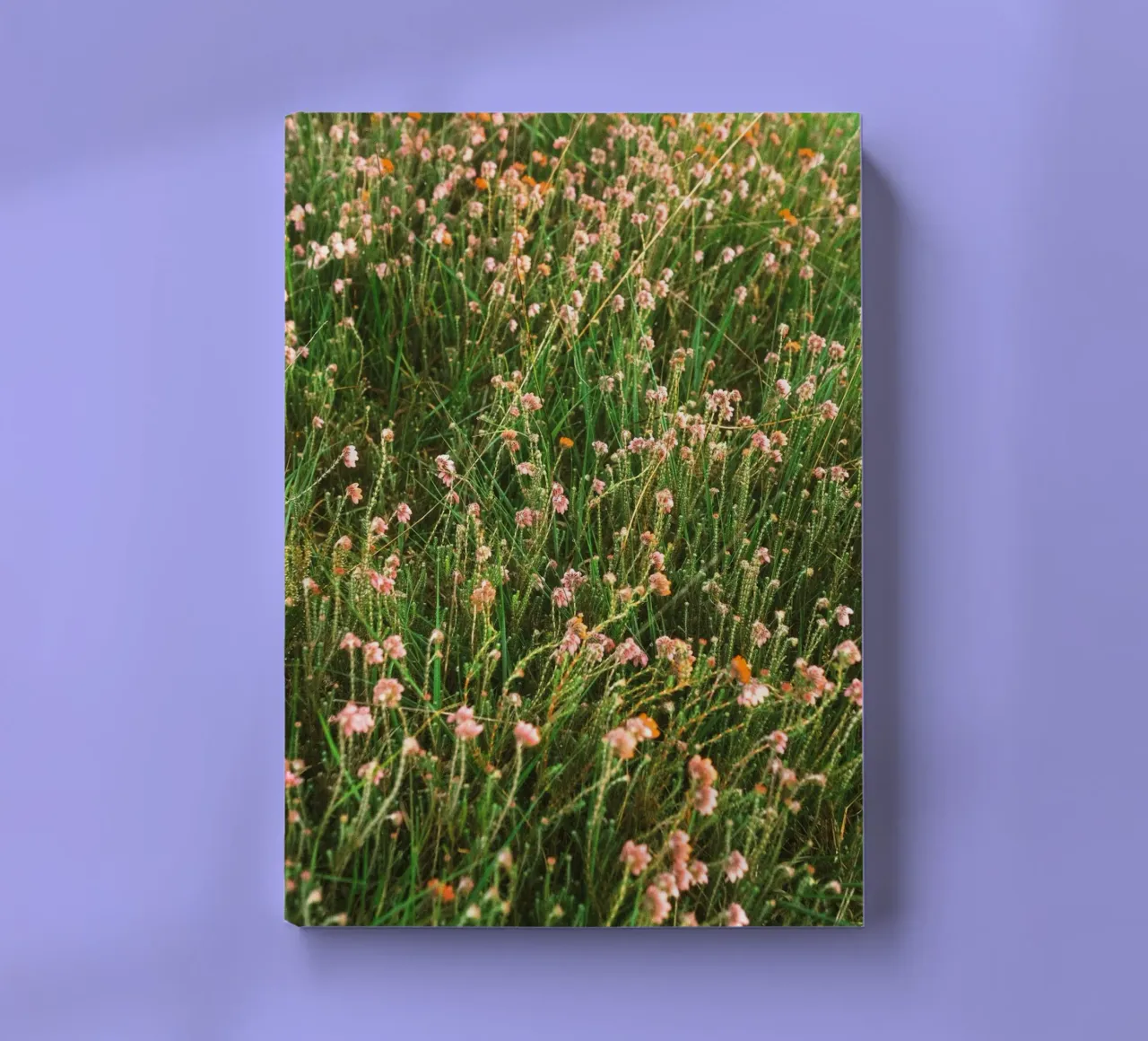 fiori erba diario da Earthly Visions