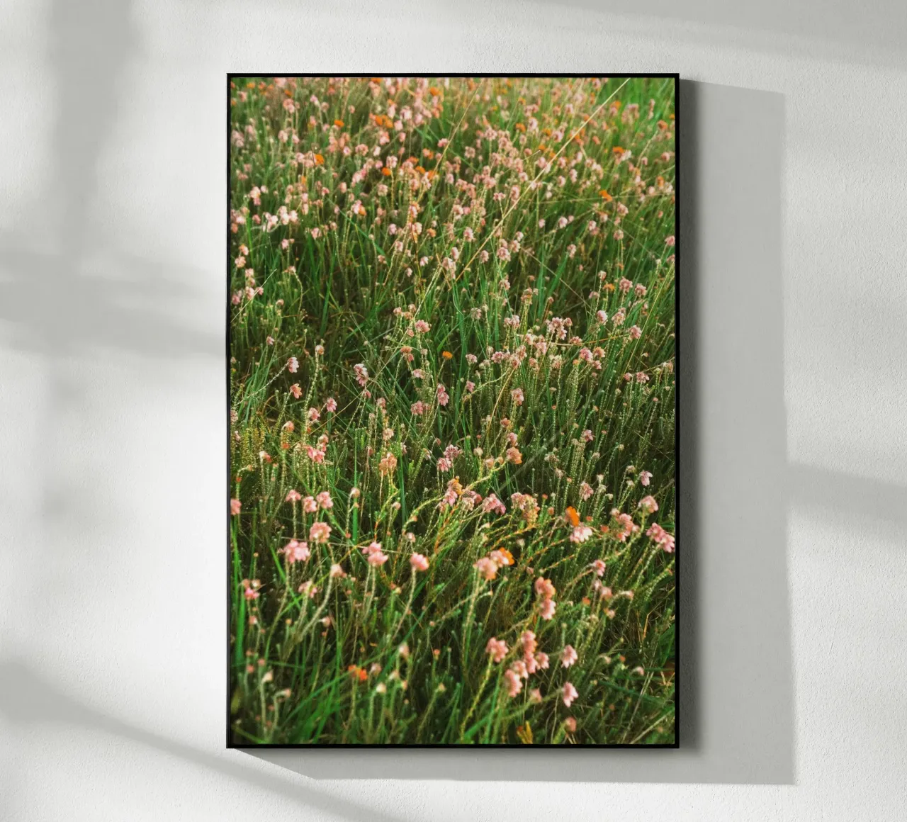 fiori erba plexiglass da Earthly Visions