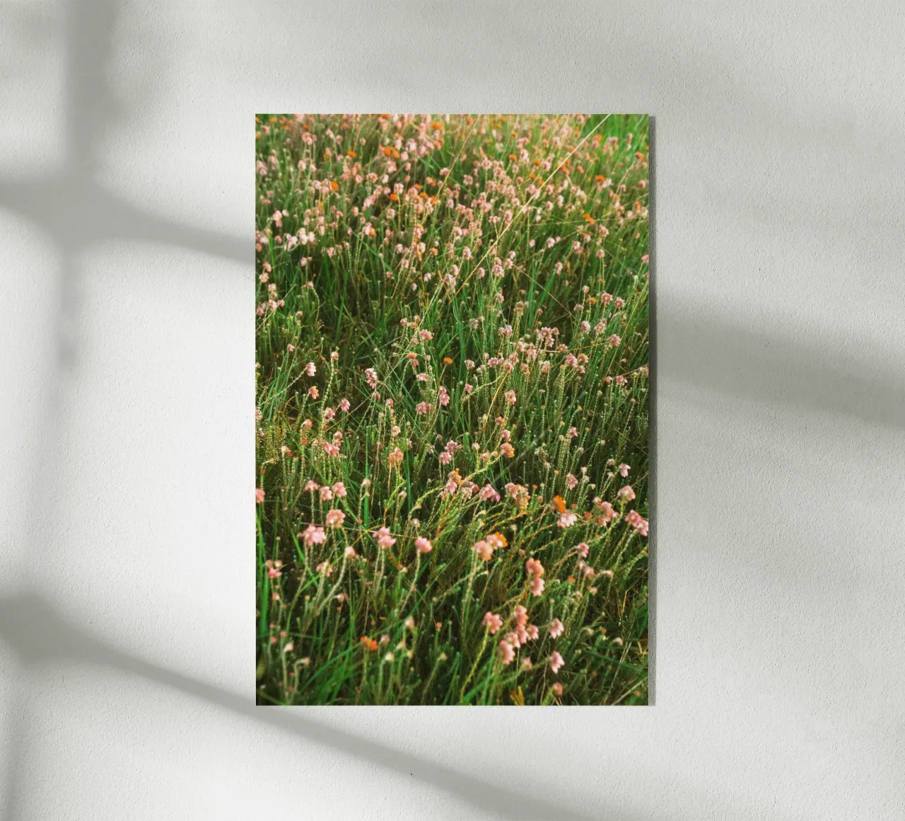 fiori erba plexiglass da Earthly Visions