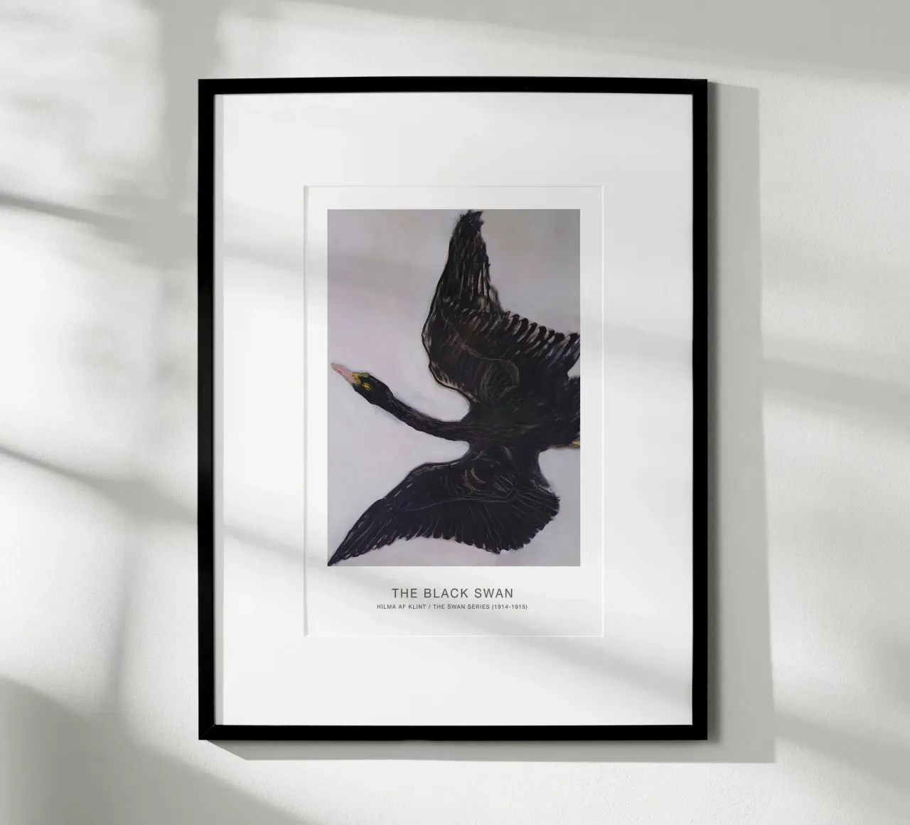 Hilma af Klint "Black Swan" Dynamic Flight Print hahnemühle by homdeco