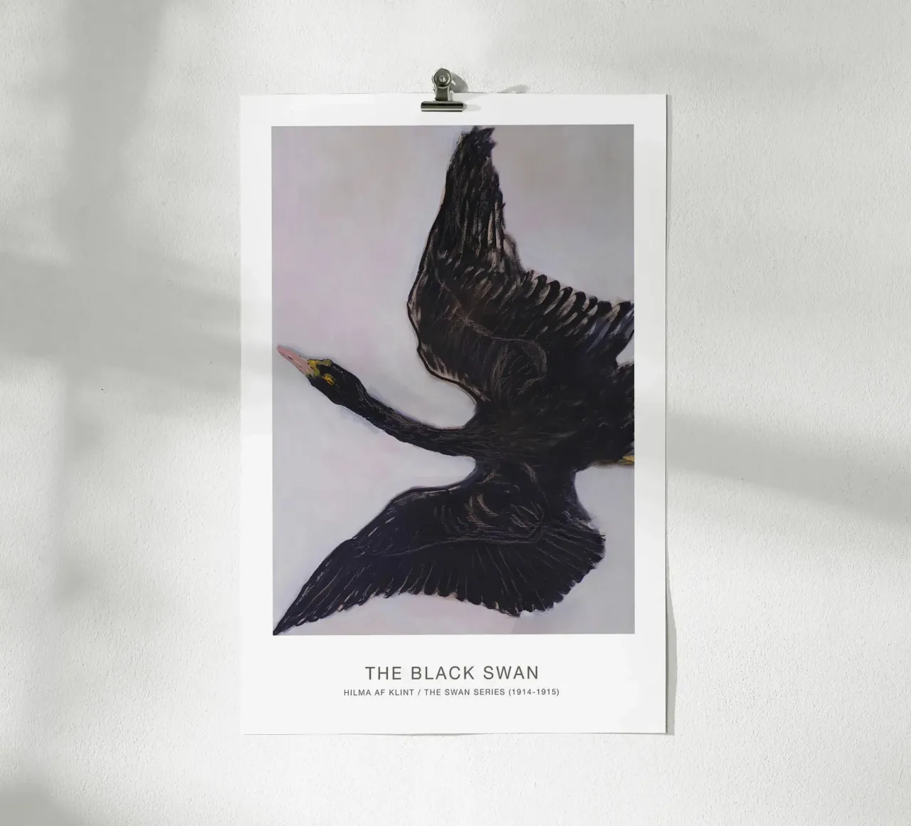 Hilma af Klint "Black Swan" Dynamic Flight Print hahnemühle by homdeco