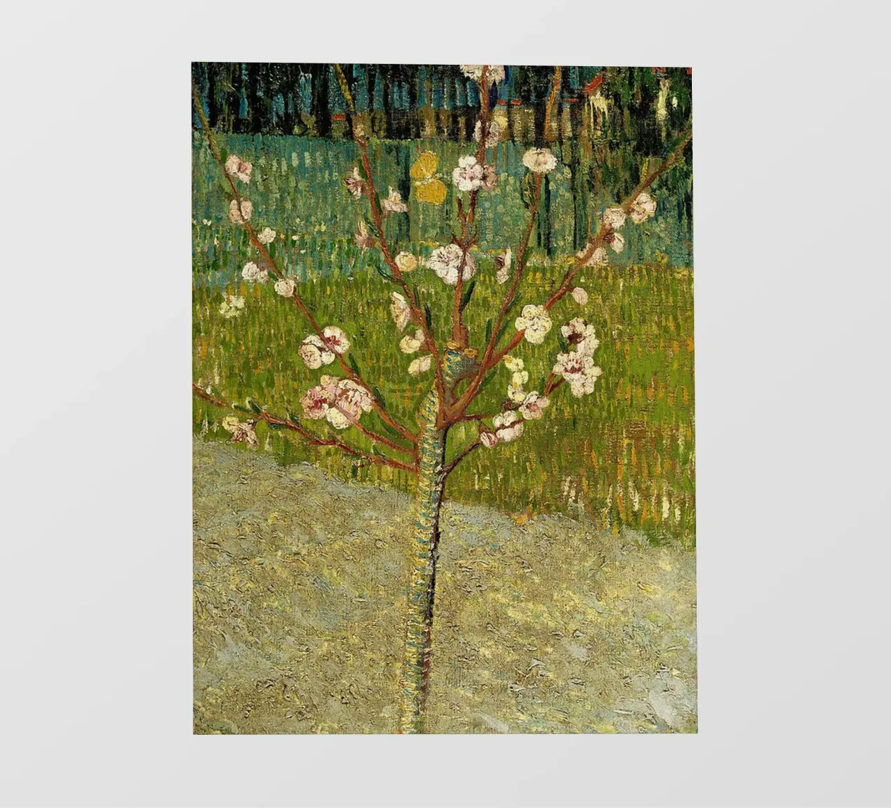 Mandorlo in fiore telo in pvc da ValerieArt