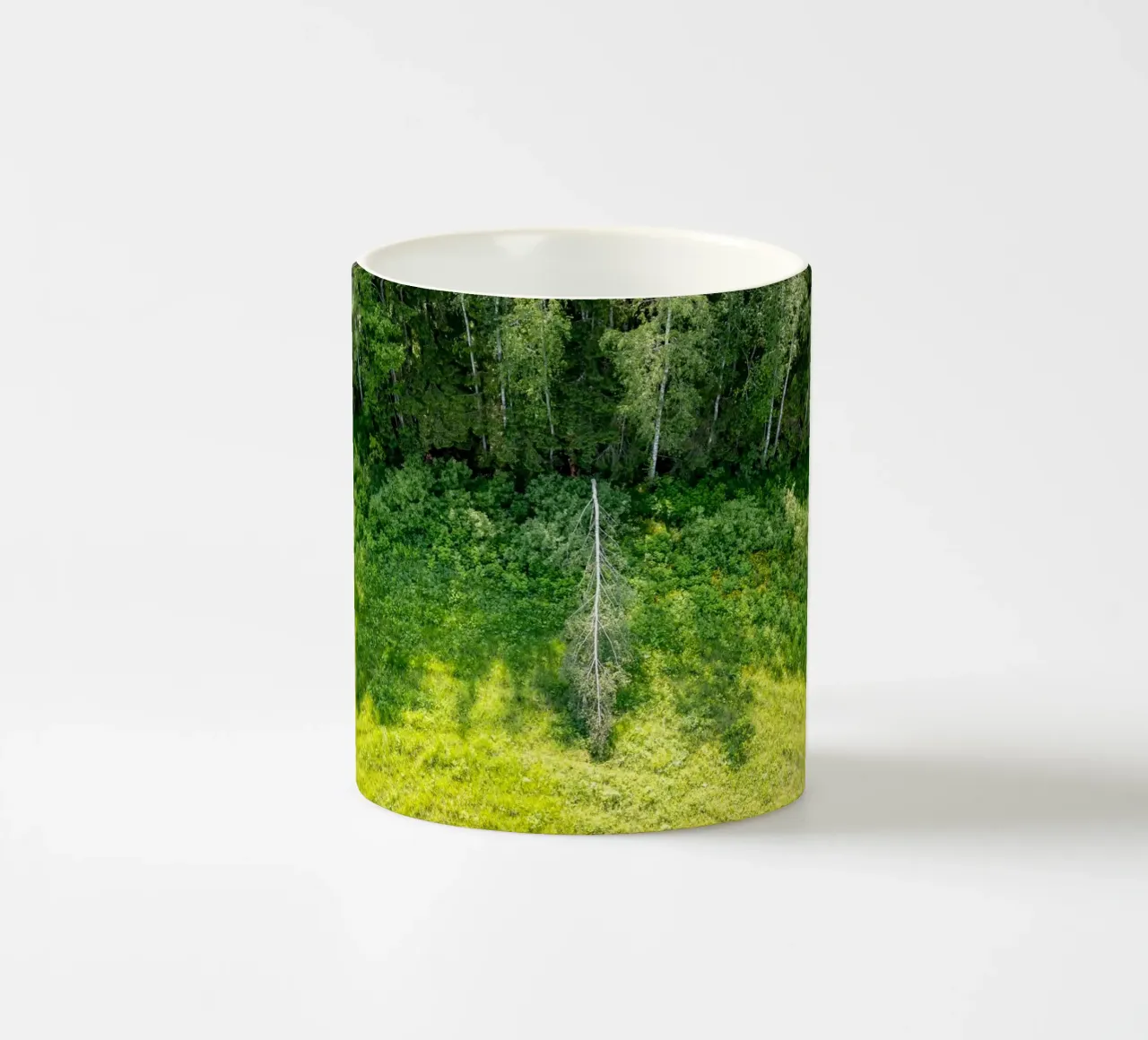 Betulla argentata caduta tazza in ceramica da anderm