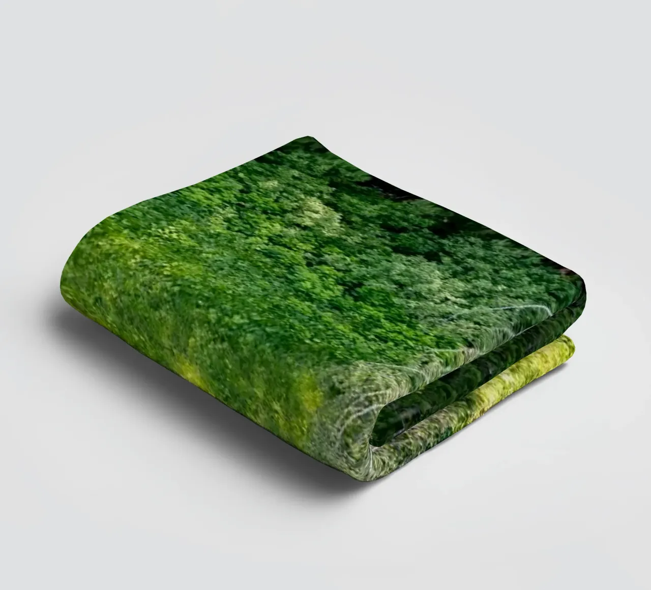 Fallen silver birch towel by anderm