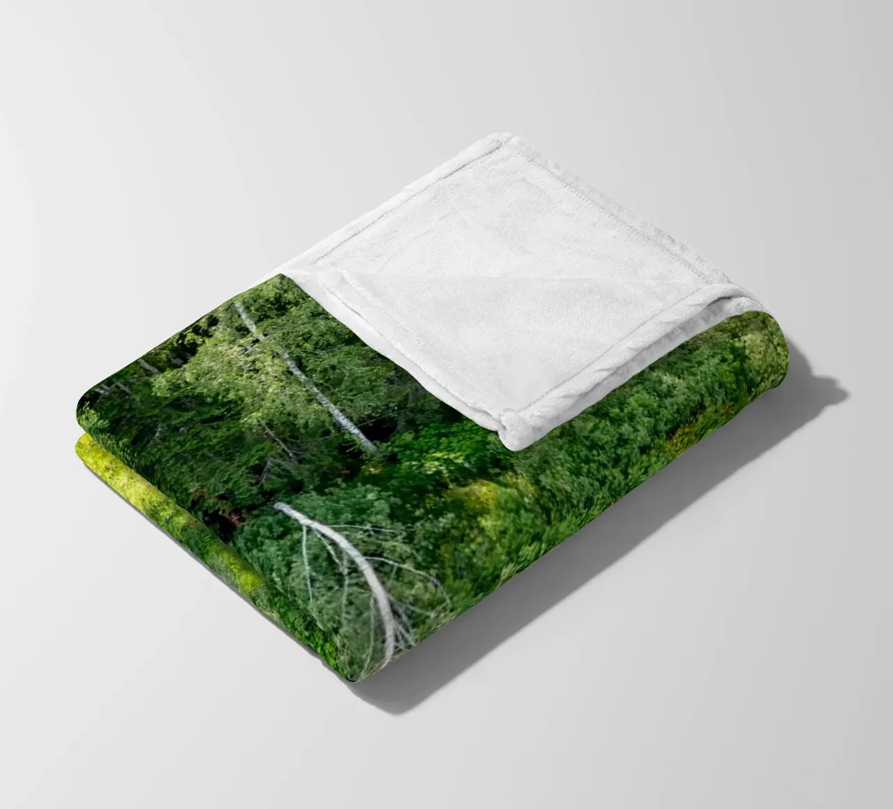 Betulla argentata caduta coperta in pile da anderm