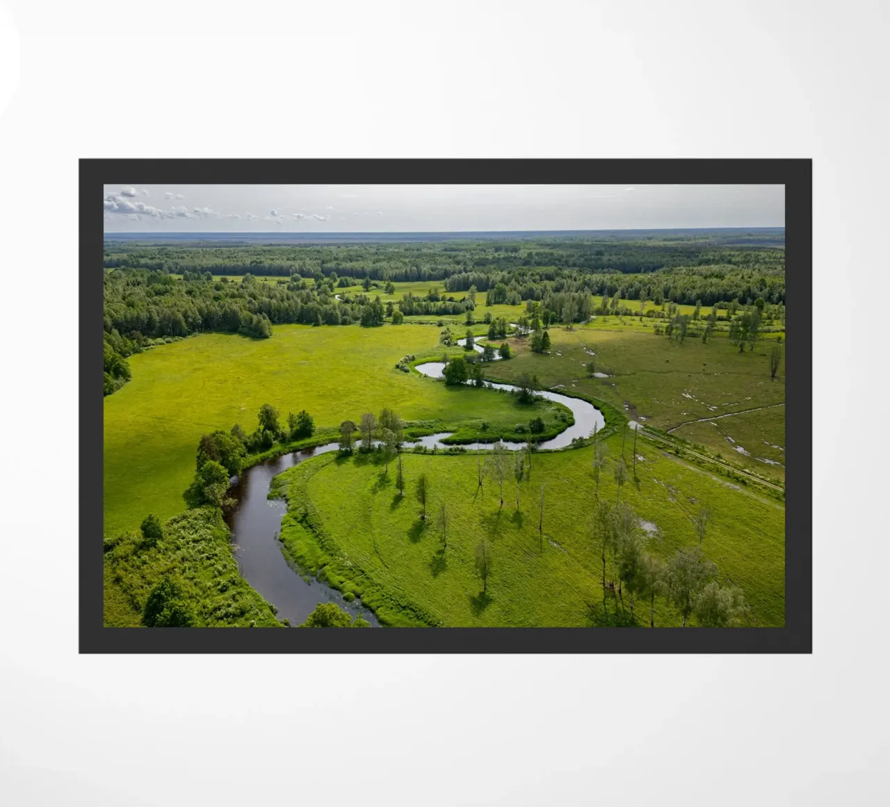 Vista aerea di un fiume tortuoso in Estonia zerbino da anderm