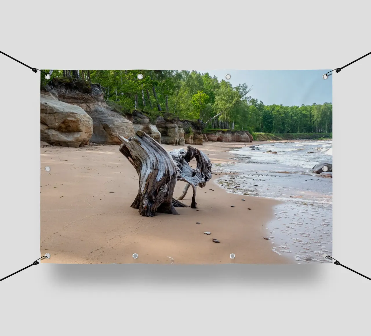 Tronco d'albero in riva al mare telo in pvc da anderm