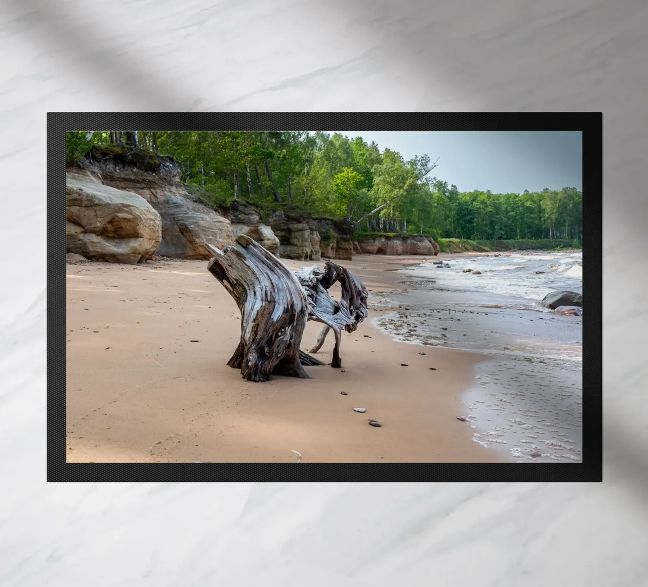 Tronco d'albero in riva al mare zerbino da anderm