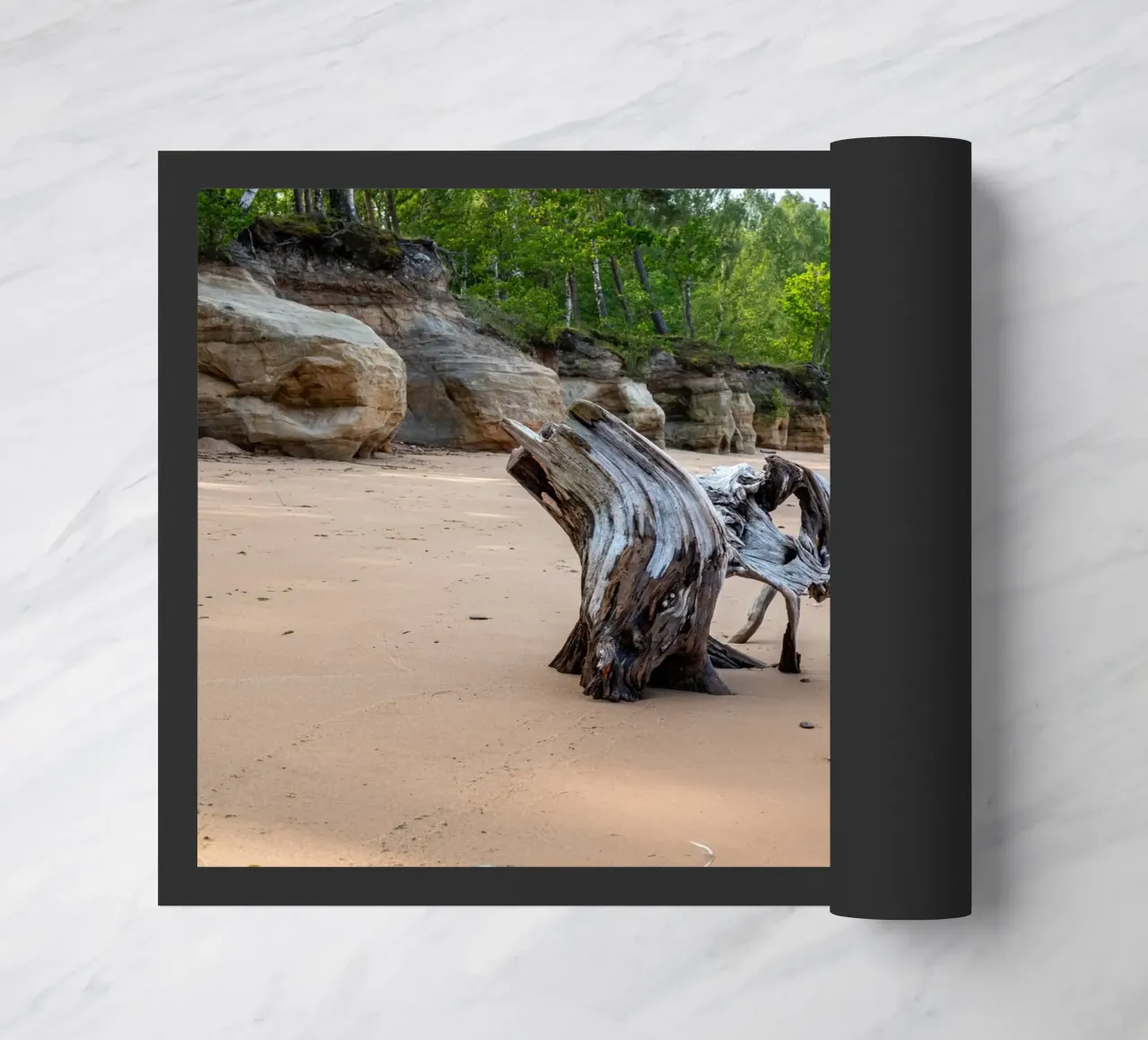 Tronco d'albero in riva al mare zerbino da anderm