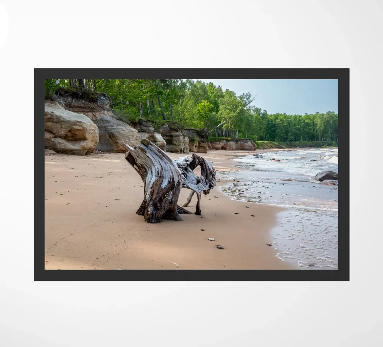 Tronco d'albero in riva al mare zerbino da anderm