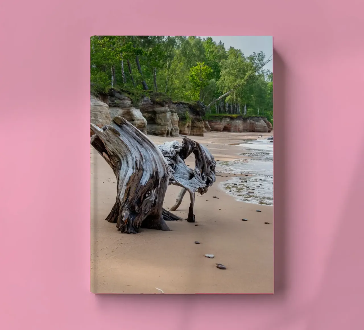 Tree log at sea shore notebook by anderm