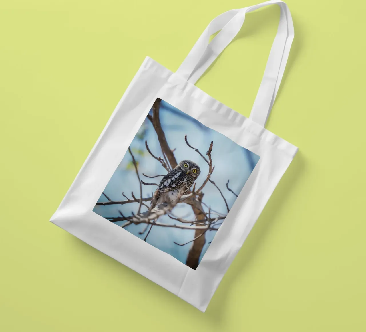 Gufo borsa in juta da Tom's Wildlife