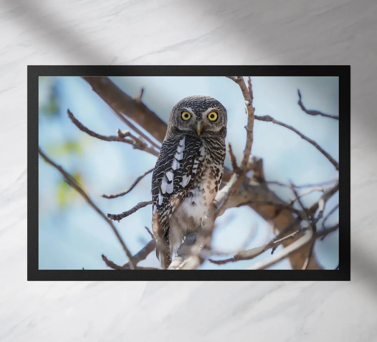 Uil deurmat van Tom's Wildlife