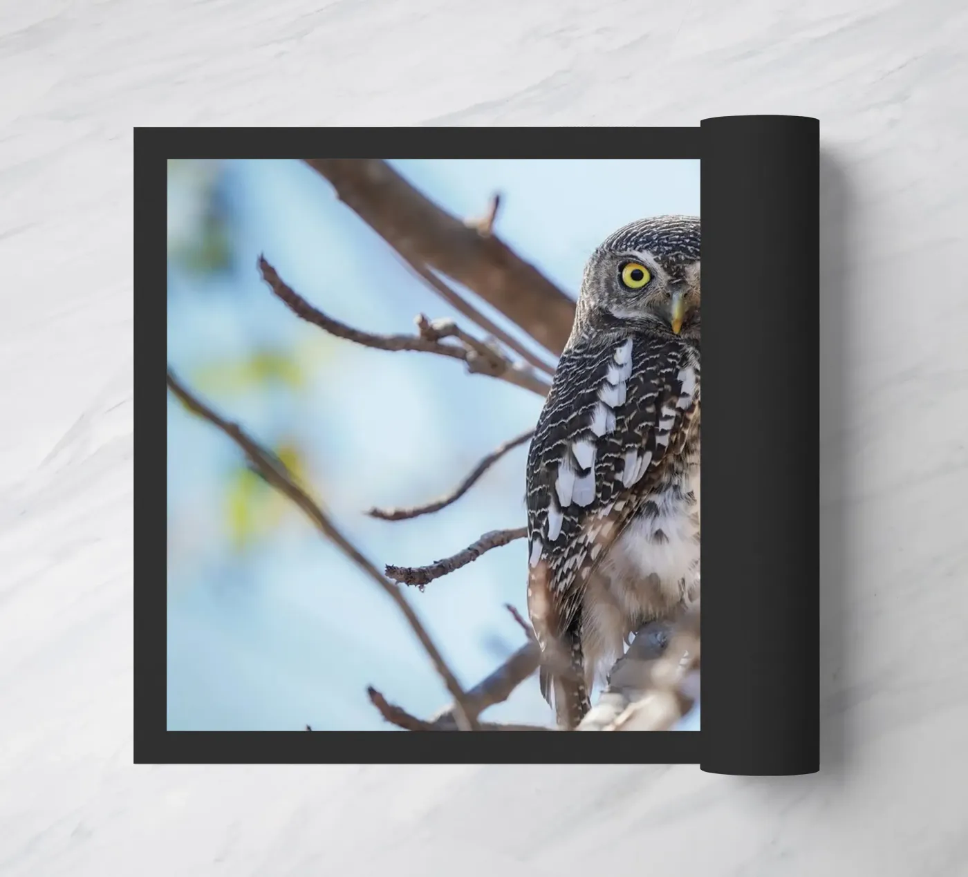 Owl doormat by Tom's Wildlife